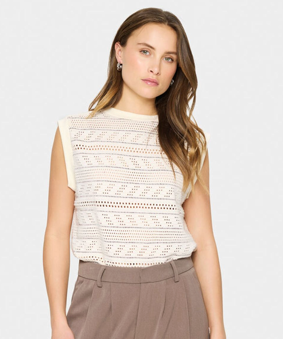 Layca Mesh Knit Pullover