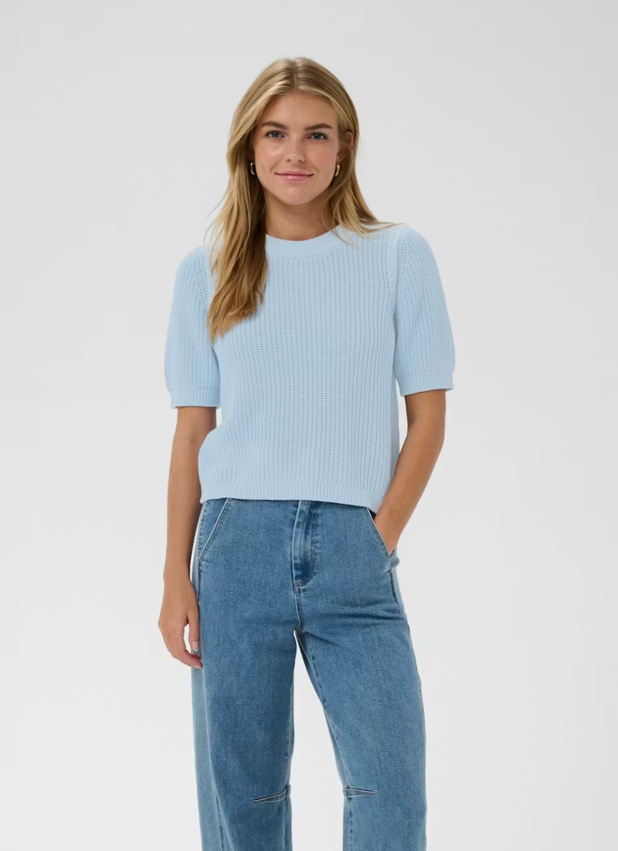 Pilia Short Sleeve Knit Pullover in Sky Blue