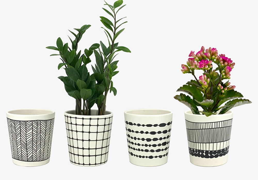 White and Black Ceramic Planter