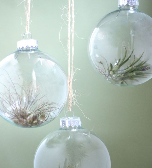 Clear Glass DIY Bulb Ornament