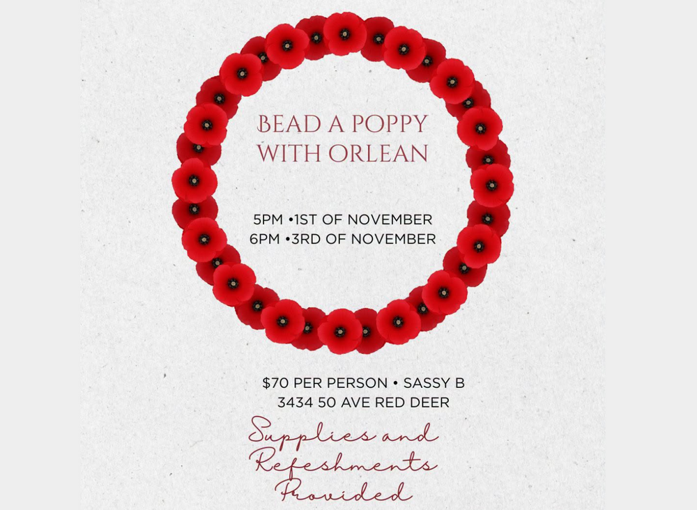 beading poppy red deer sassy b clothing store consignment ladies clothing 