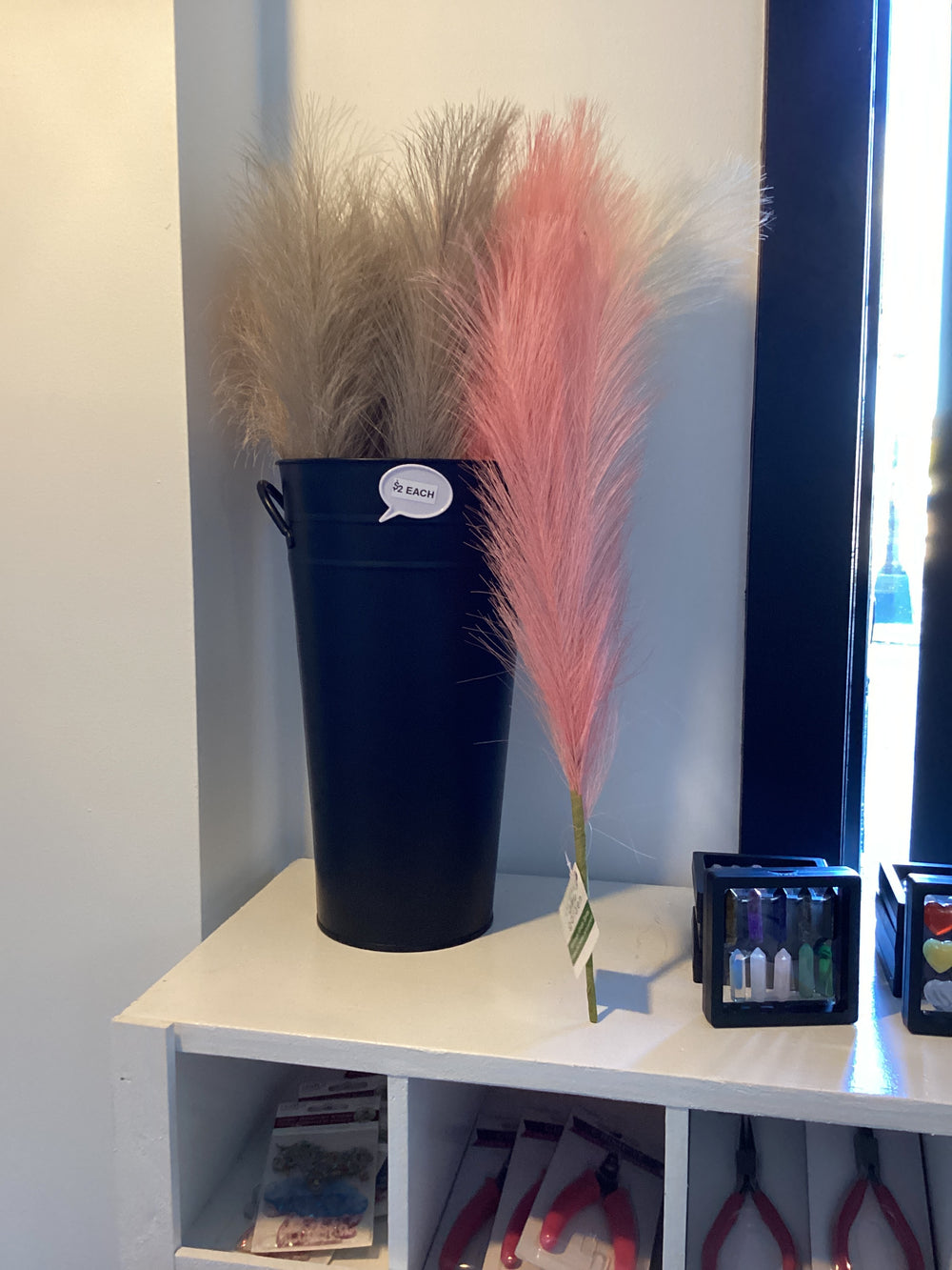 Decorative Pampas Grass