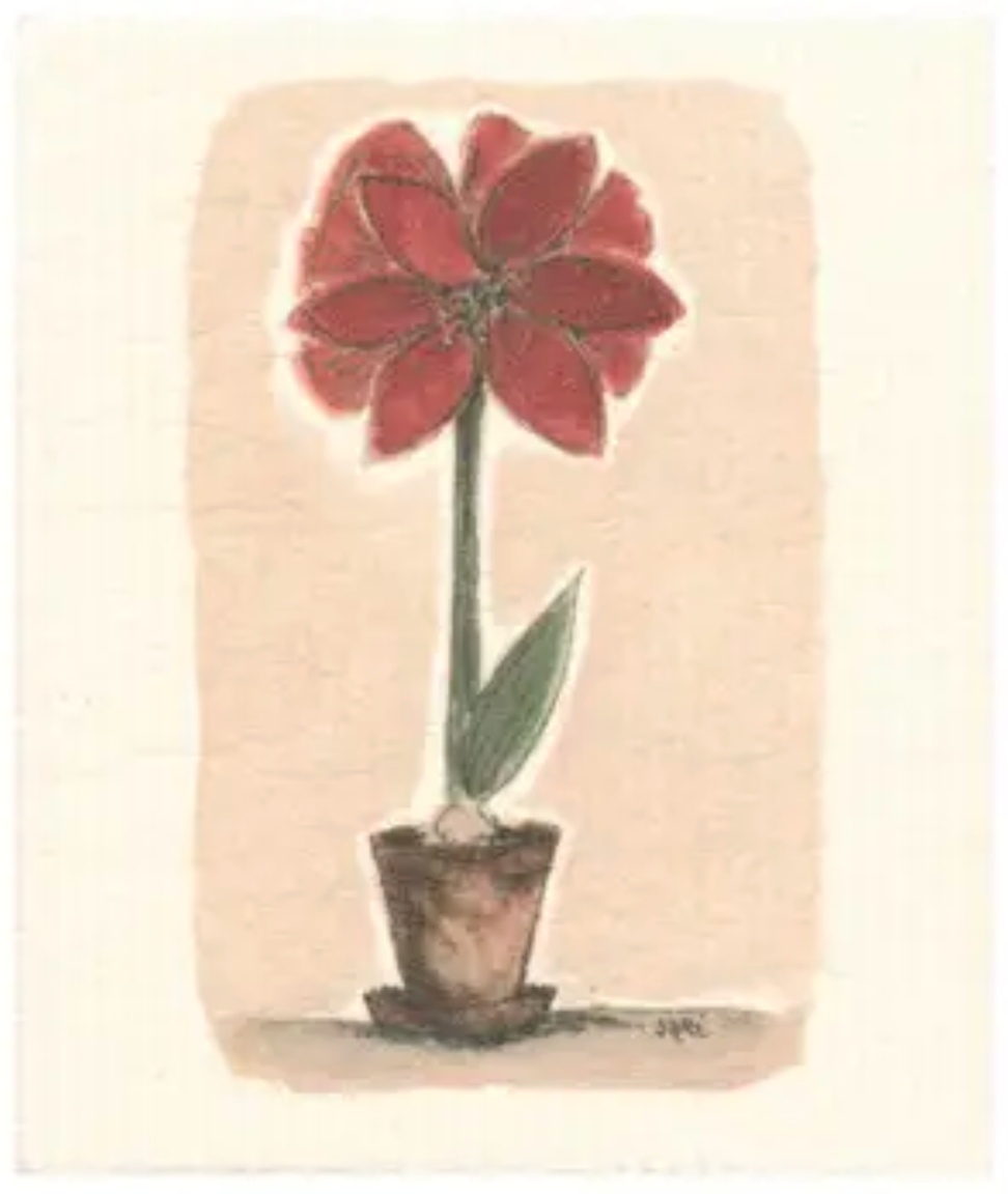 More Joy Swedish Dishcloth