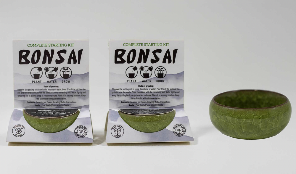 Mini Bonsai Starter Kit