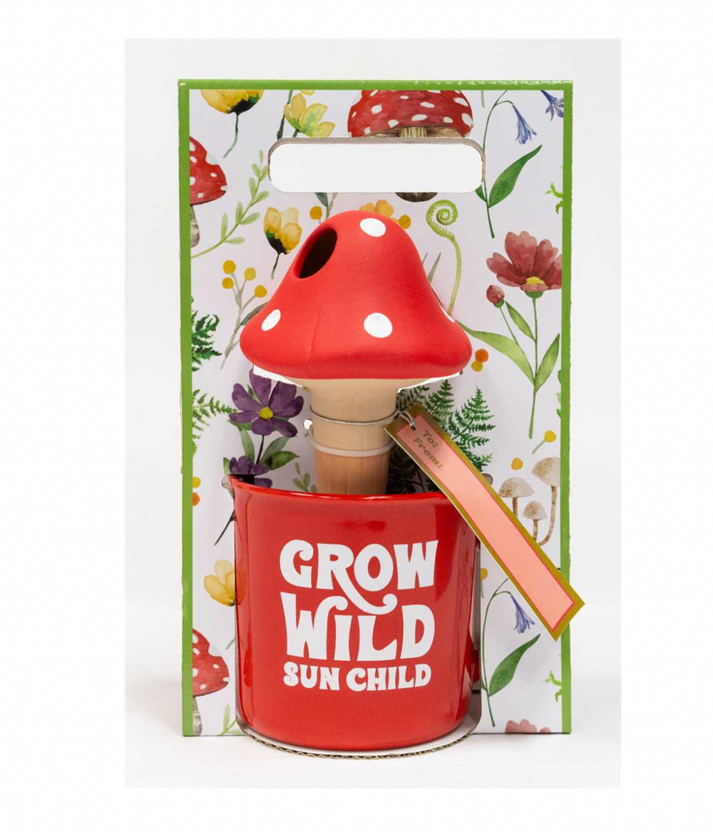 Mushroom Mug and Self Watering Insert Gift Set